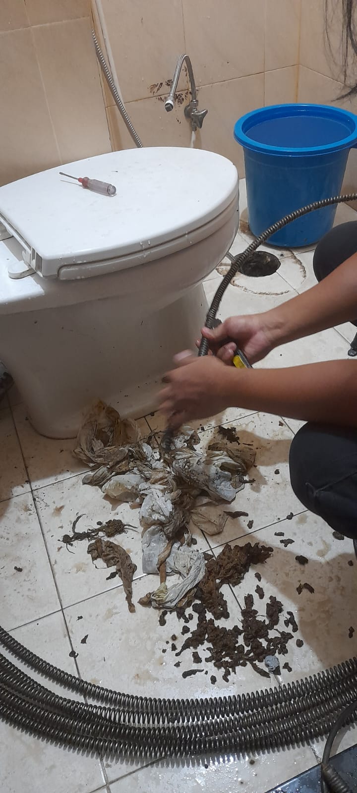 Toilet Mampet